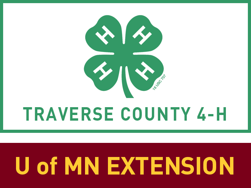 Logo for 2024 Traverse County Fair